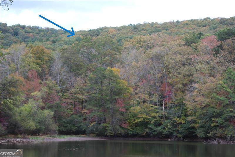 LOT 19 Owl Mountain Road - Photo 1