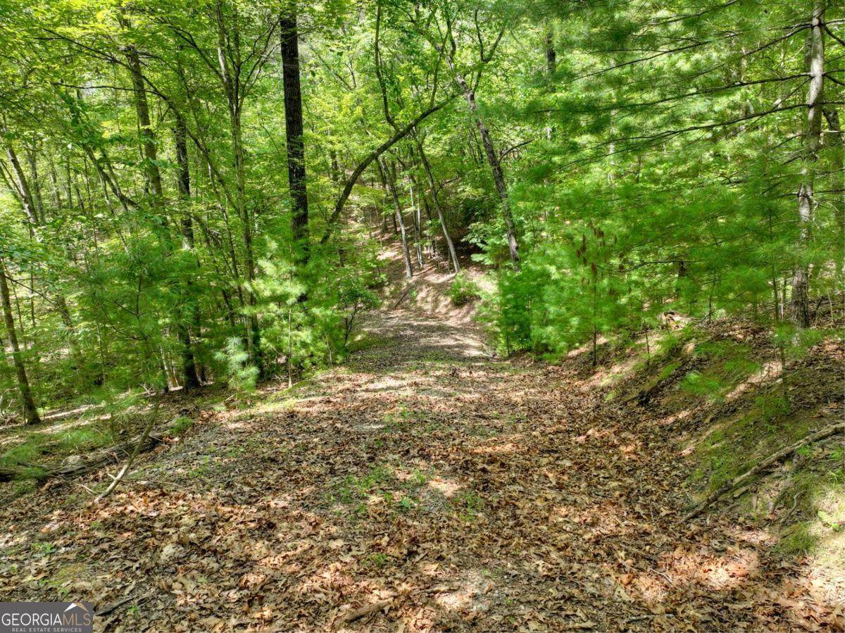 LOT 68 Riverwalk On The Toc - Photo 1