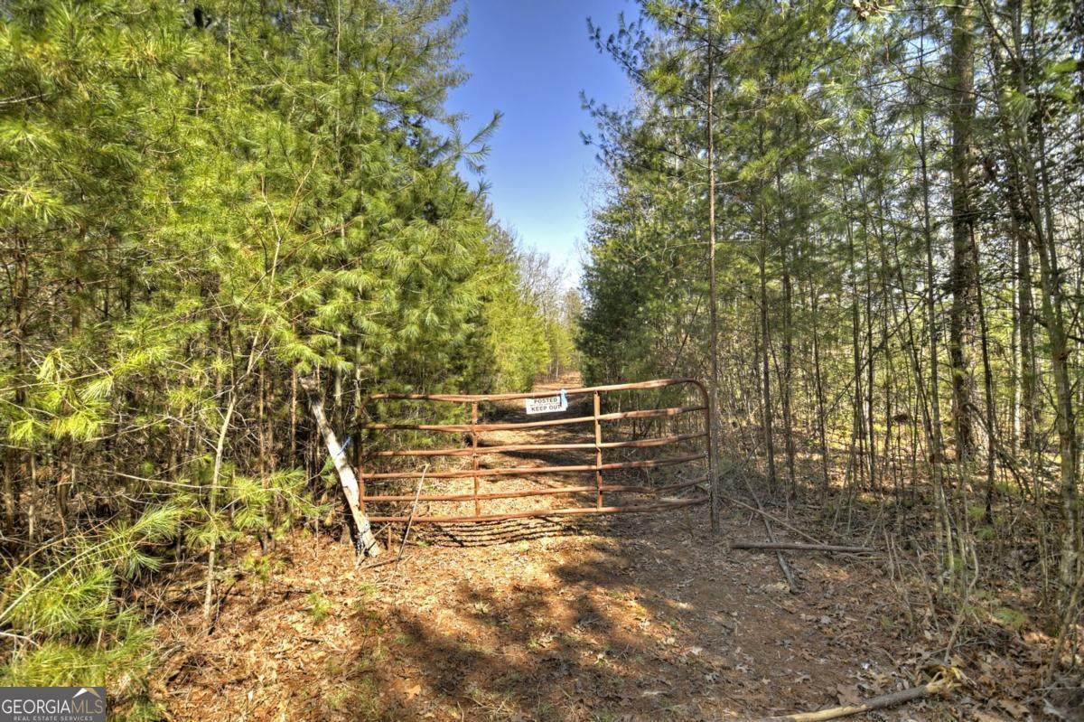 48.4AC Lofty Heights - Photo 1