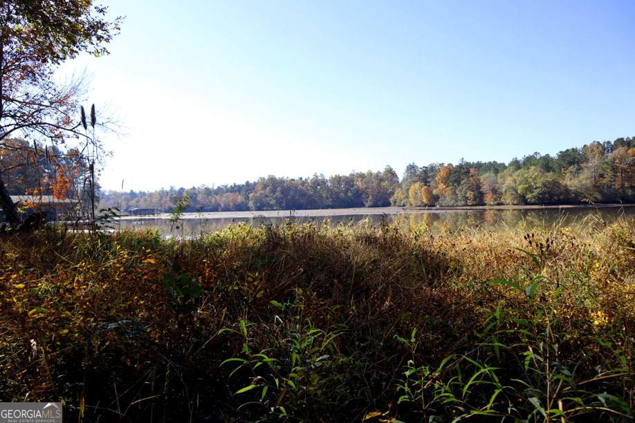 0 Lake Crest Drive - Photo 1