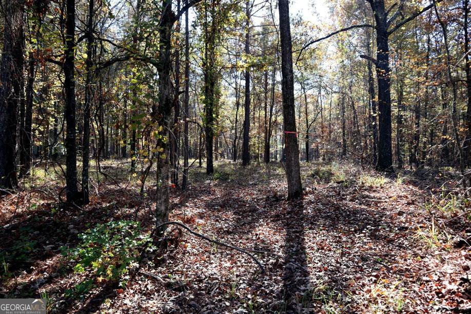 511 Jamesway Drive - Photo 1