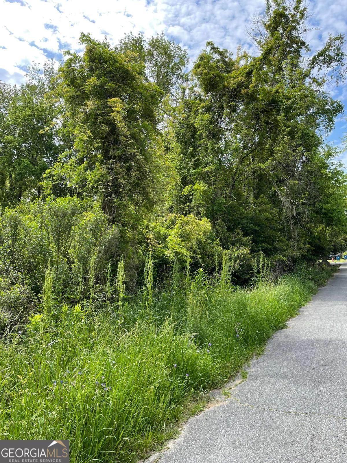 209 Lively Street - Photo 1