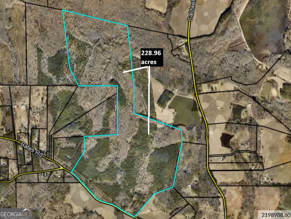 764 Bates Rd (228.96Acs) - Photo 1