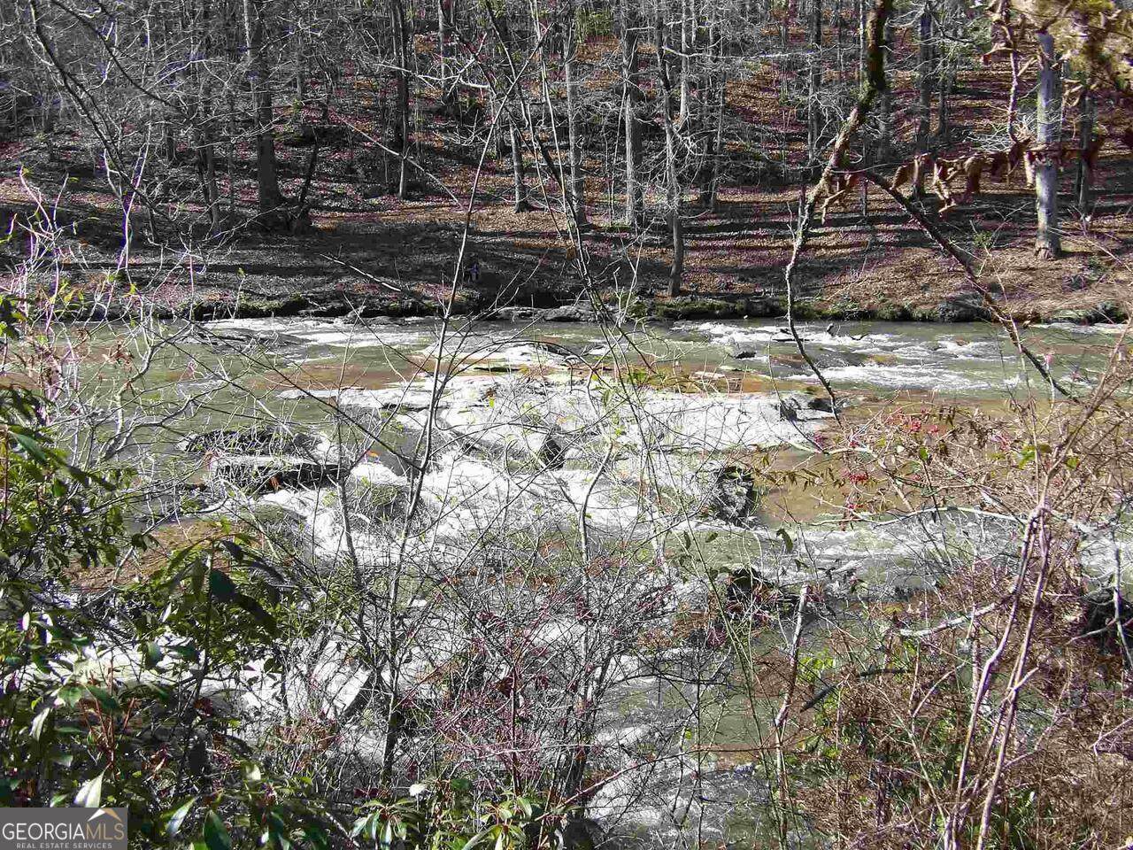 106 Forest Place - Photo 1