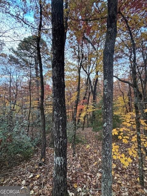 595 Whispering Dale Drive - Photo 1