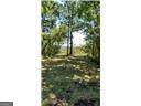 0 Briar Patch Lot 15 Place - Photo 2