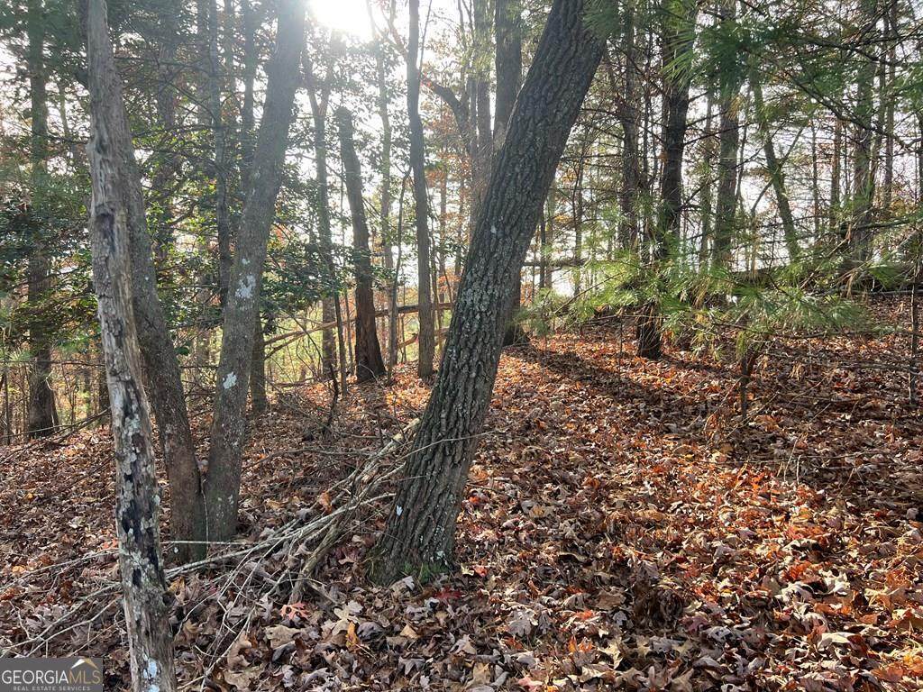 71 Dryad Court - Photo 1