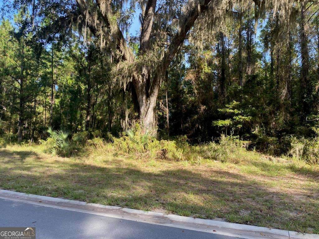 LOT 141 Beacon Pointe Parkway - Photo 1