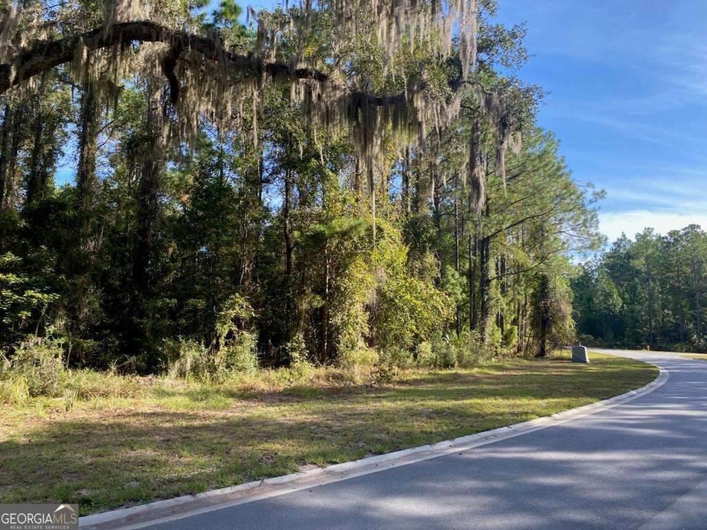 LOT 143 Beacon Pointe Parkway - Photo 1