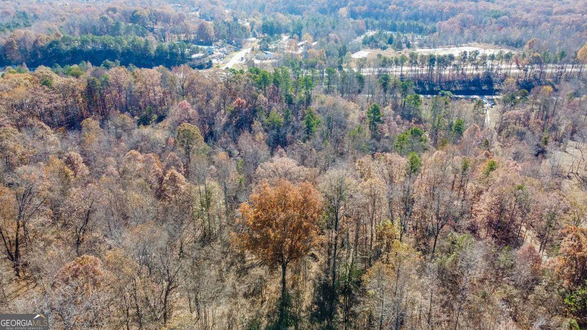 0 Auraria Road - Photo 1