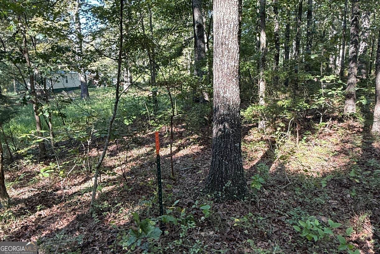 0 Turkey Court - Photo 1