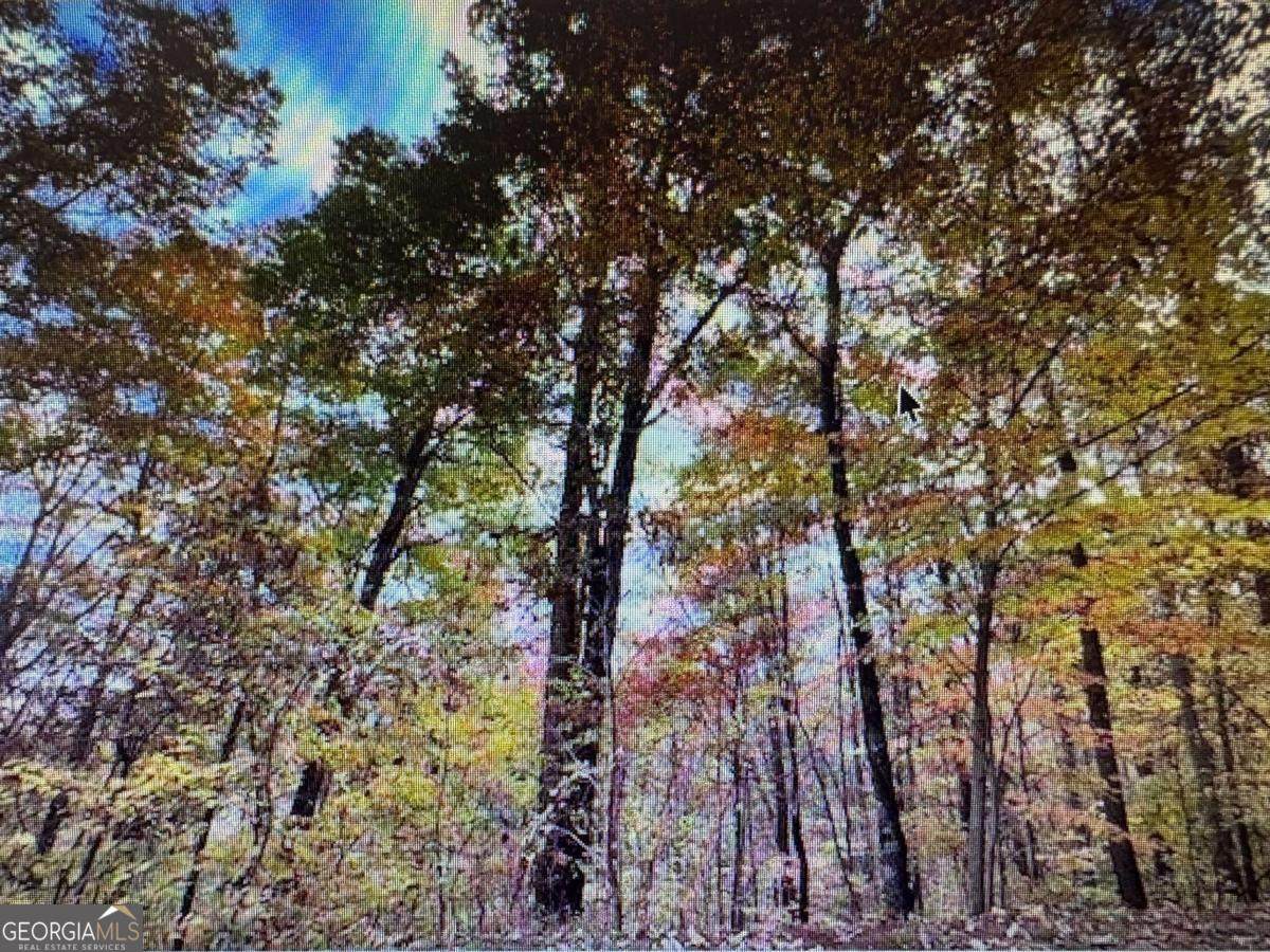 6 Morgan Creek Lot 6 - Photo 1