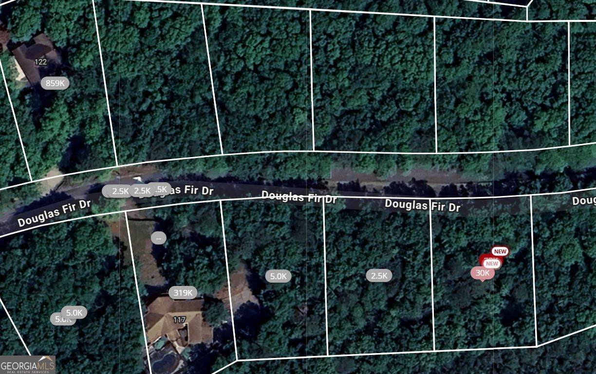 105 Douglas Fir Drive - Photo 1