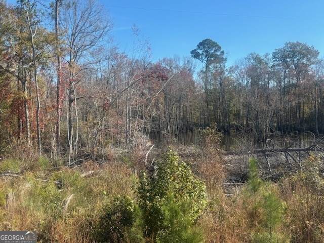 0 Jd Williams Road - Photo 1