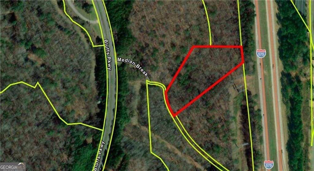 0 Bluffs Parkway - Photo 1