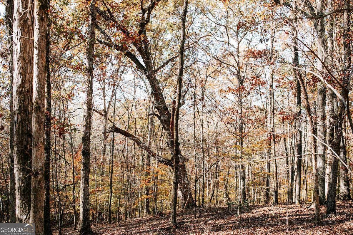 0 Greensboro Road - Photo 1