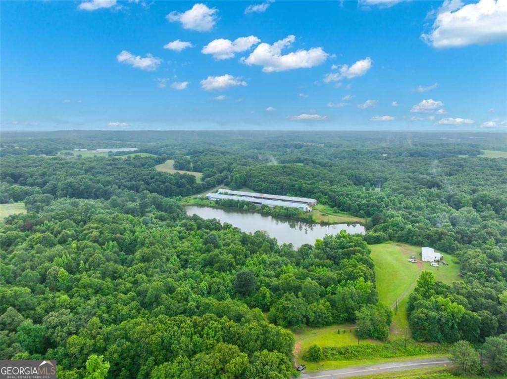 397 Reed Brawner Road - Photo 1