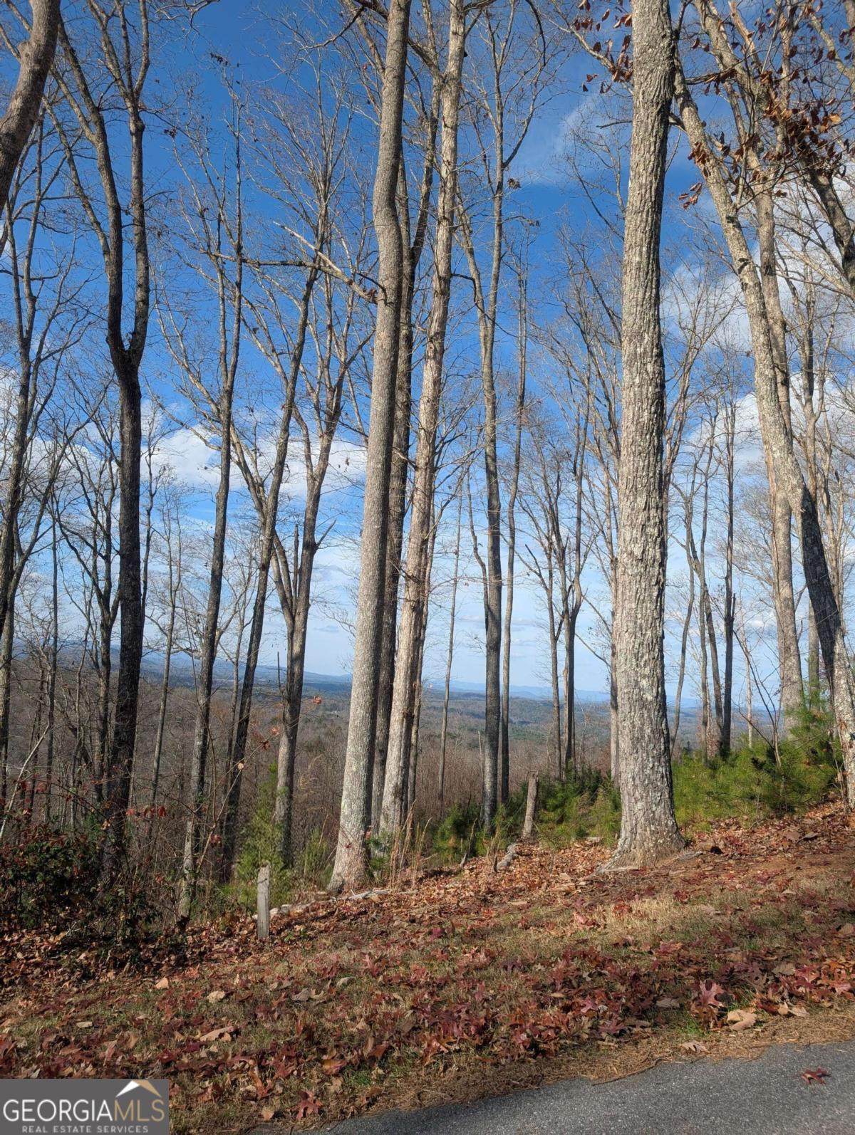 LOT 91 Winding Ridge - Photo 1