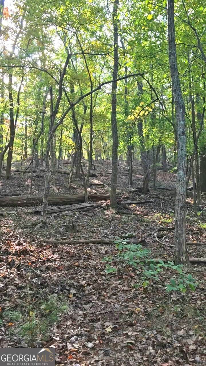 315 Windflower Drive - Photo 1