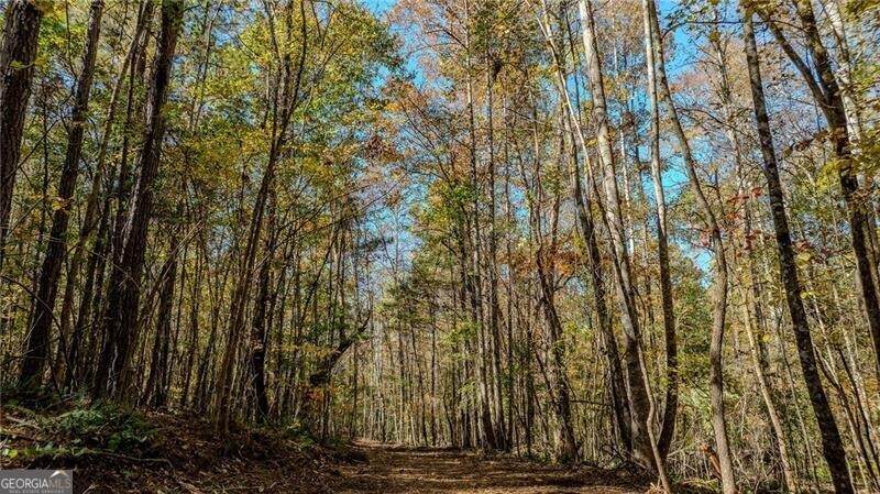 0 Jones Ferry Road - Photo 1