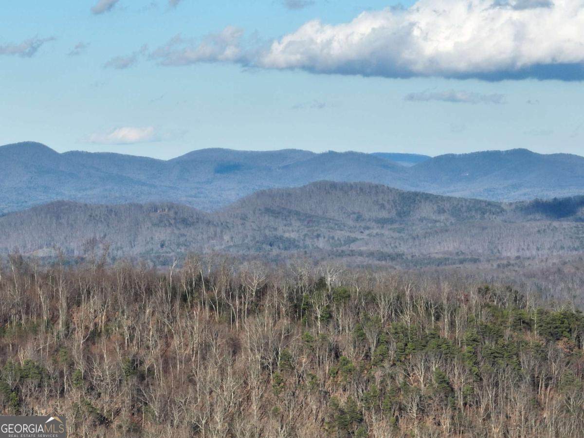 281 Andes Ridge - Photo 1