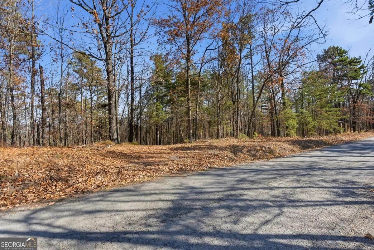 1166 Hunter Drive - Photo 1