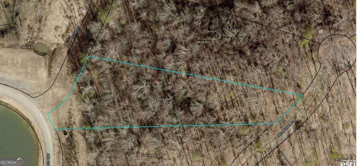 0 Trick Wake Street - Photo 1