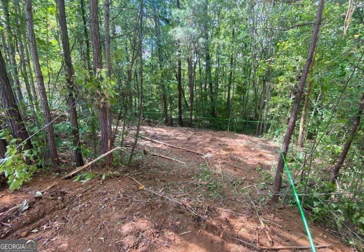 248 Pioneer Trail - Photo 1