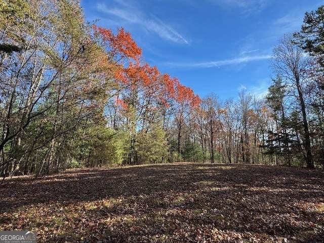 0 John Call Road - Photo 1