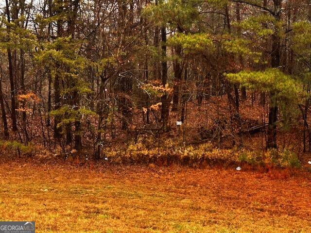 0 Talona Road - Photo 1