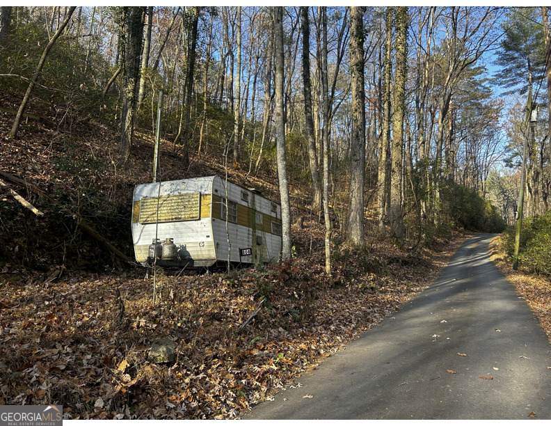 308 Rhododendron Lane - Photo 1