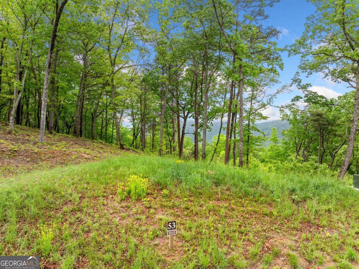LOT 53 High Summit Drive - Photo 1