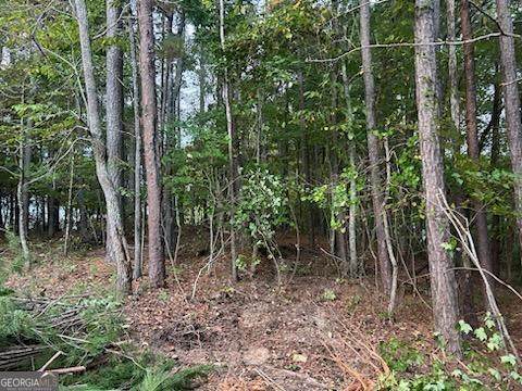 21 Skyline Drive - Photo 1