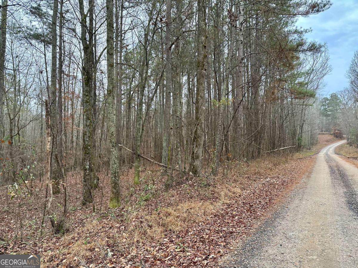 0 County Road 59 - Photo 1