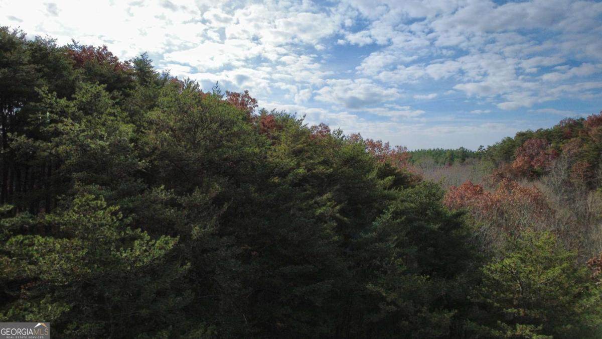 TRACT 30 Deerfield Estates - Photo 1