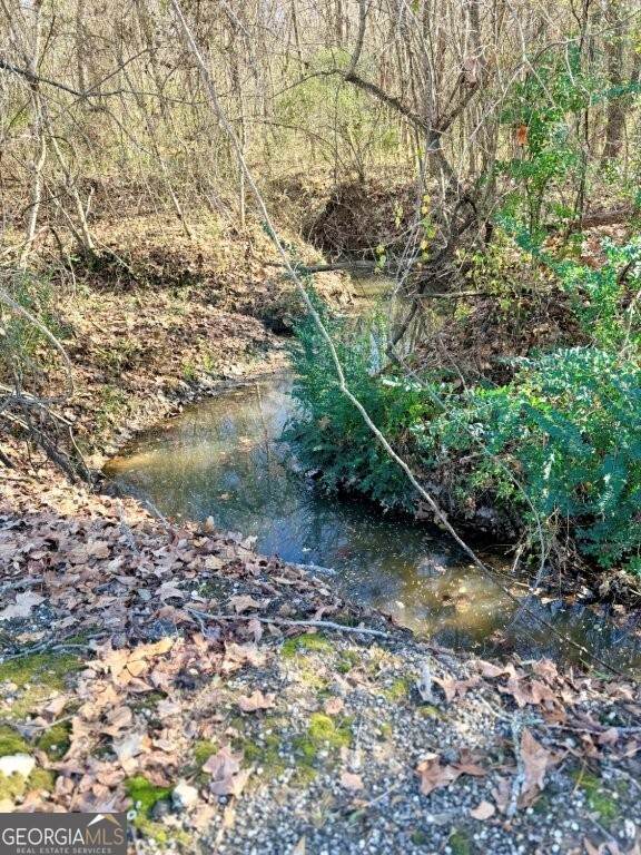 0 Horn Lake Road - Photo 1