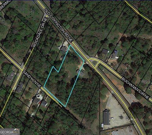 0 Old Covington Road - Photo 1