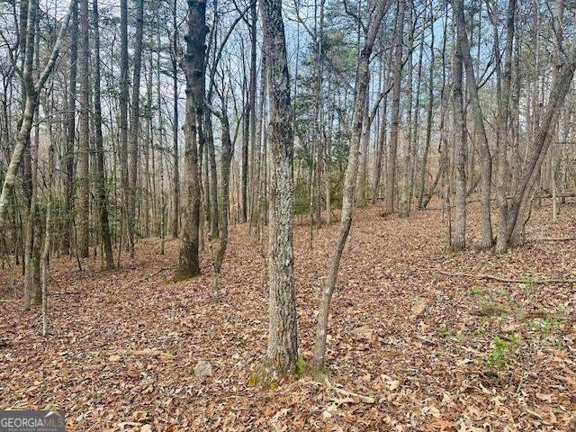 LOT 28 Fern Park Drive - Photo 1