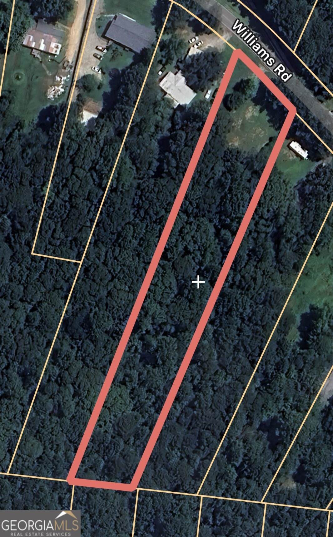 7307 Williams Street - Photo 1