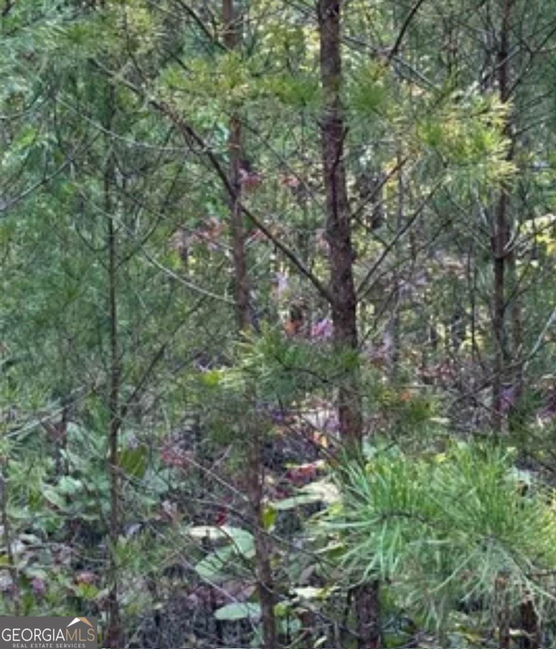 18 Skyline Drive - Photo 1