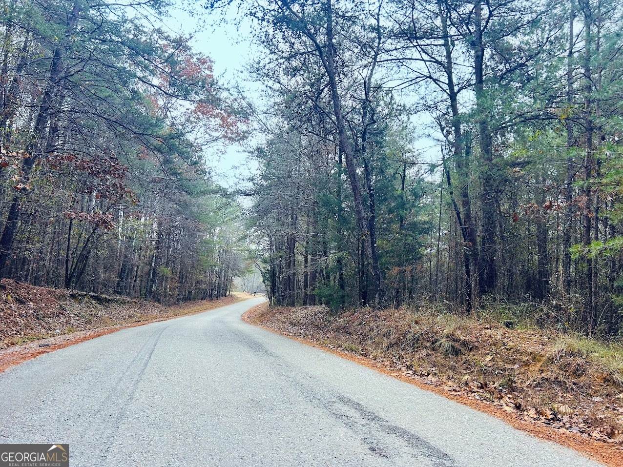 0 Hopeful Road - Photo 1