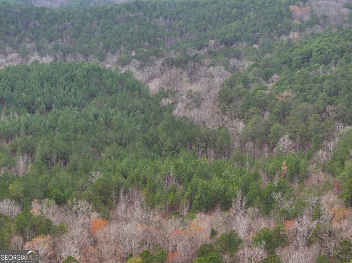 0 Hopeful/Cheaha Road - Photo 1