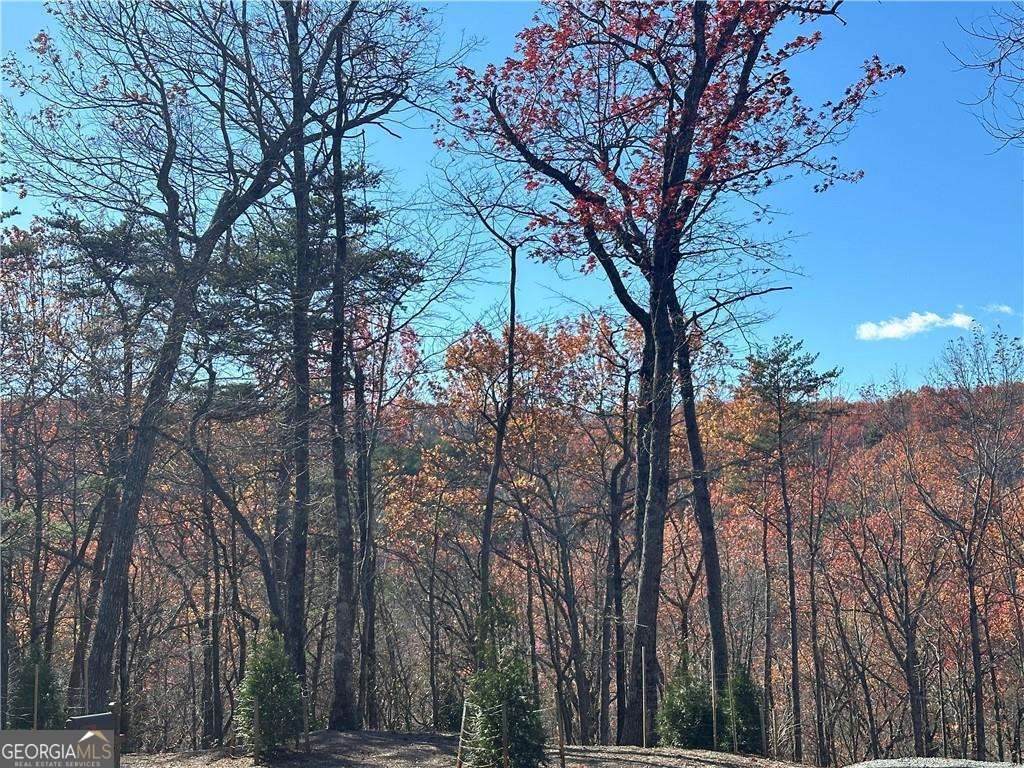 503 Saint Andrews Way - Photo 1