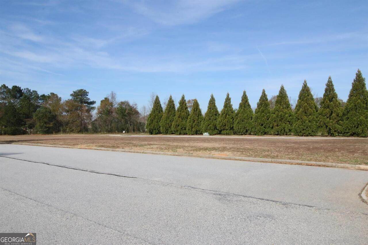 367 Athens Highway - Photo 1