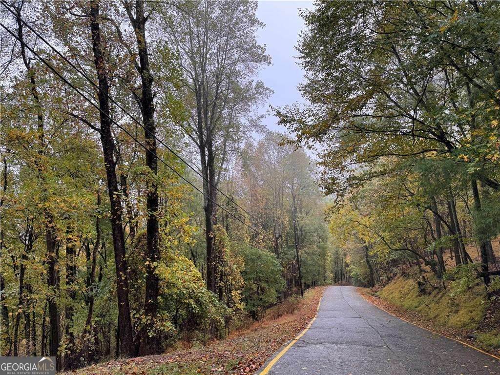 0 Mountain Oak Road - Photo 1