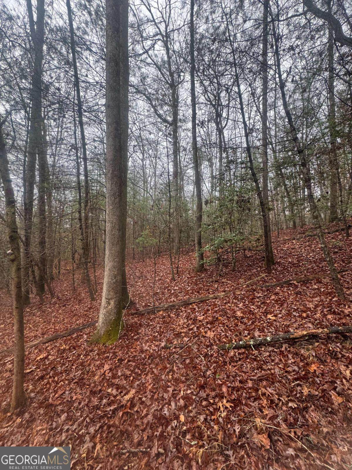 0 Mountaintown Trail - Photo 1