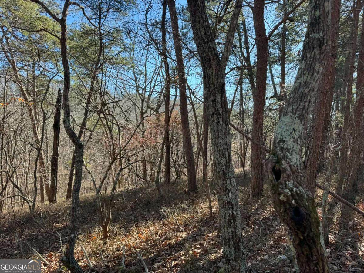 1493 Derby Court - Photo 1