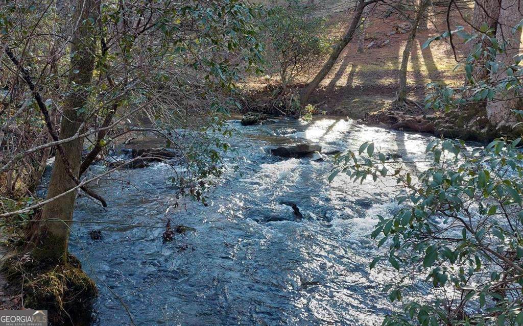 193 Opossum Road - Photo 1