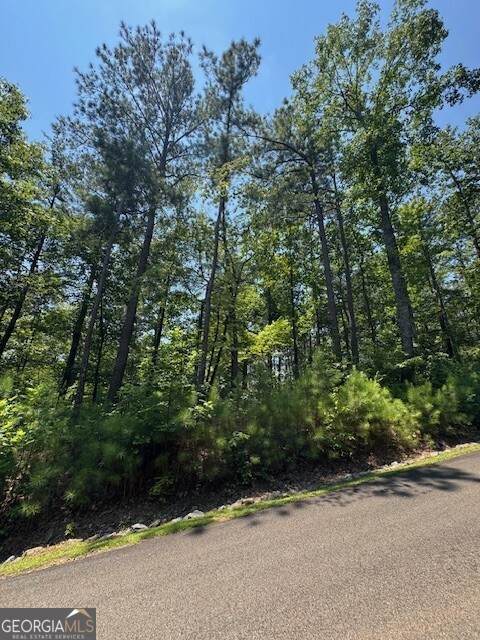 0 Carters View - Photo 1