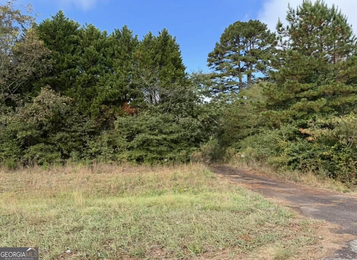 3238 Ola Road - Photo 1